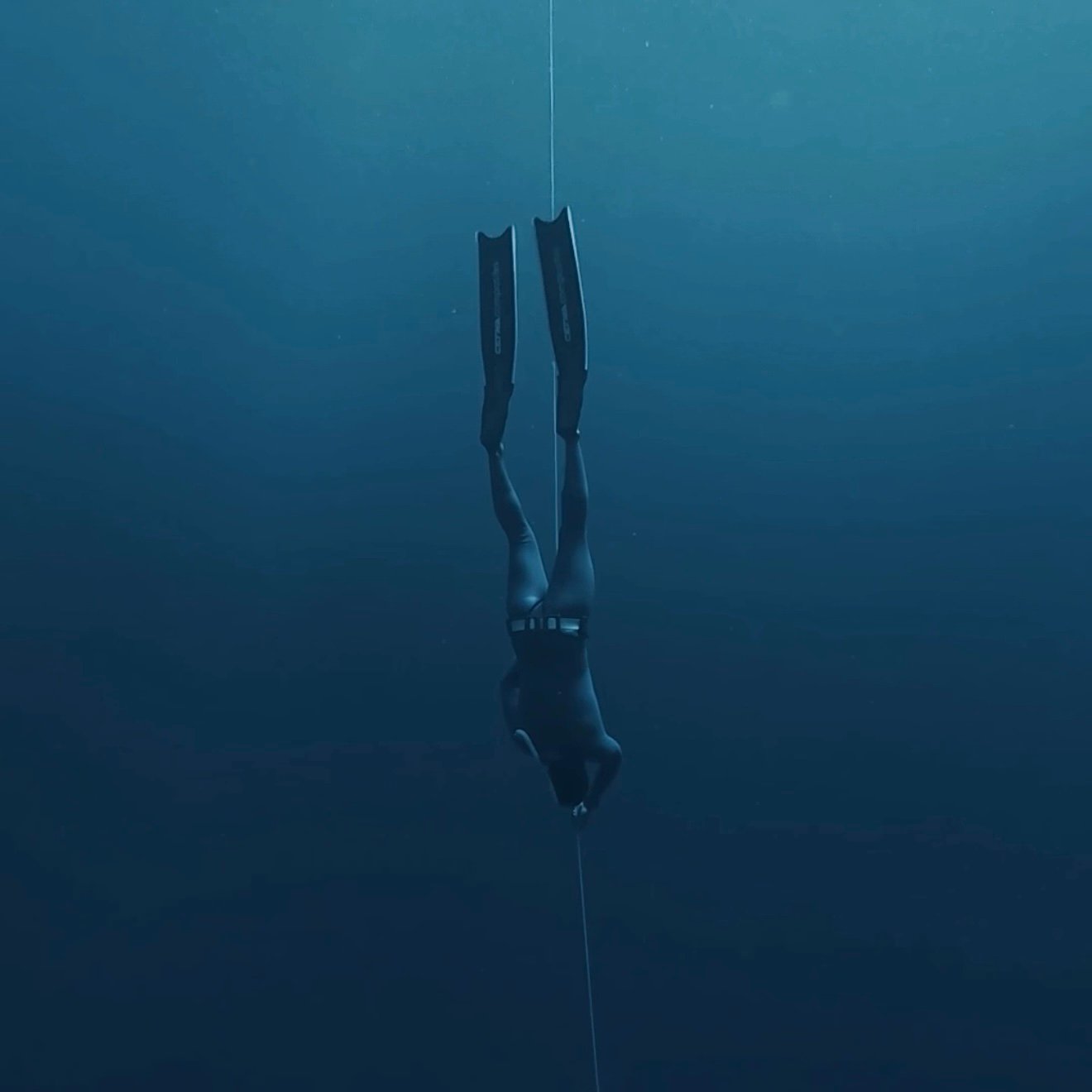 screenshot-4 المستوى الاول ٢٠٢٦/٦/٣٠ - الصورة 1